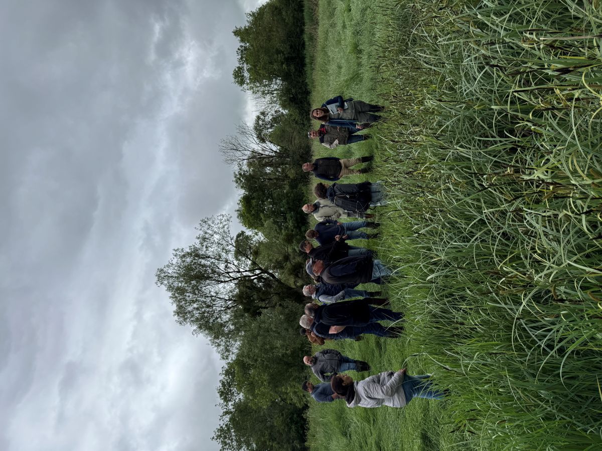 Groupe d'agriculteurs engagés dans des MAEC participant à la formation sur les milieux humides
