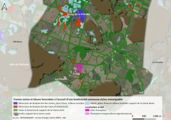 Carte aérienne de la plantation 2019 - projet n°2