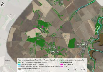 Carte aérienne de la plantation 2019 - projet n°6