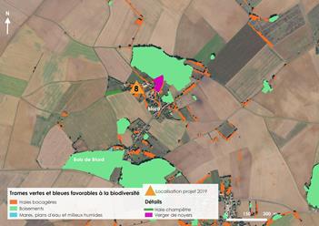 Carte aérienne de la plantation 2019 - projet n°8