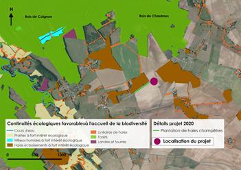 Carte aérienne de la plantation 2020 - projet n°3