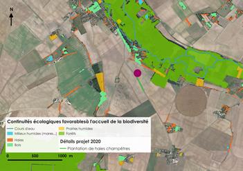 Carte aérienne de la plantation 2020 - projet n°5