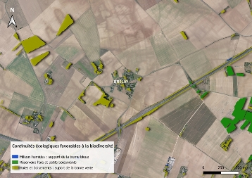 2021 cinquième projet de plantation