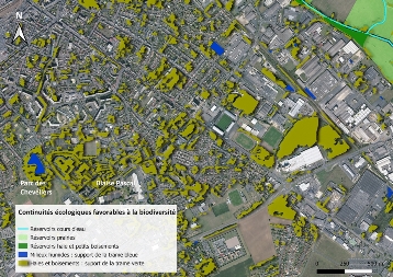 2021 neuvième projet de plantation