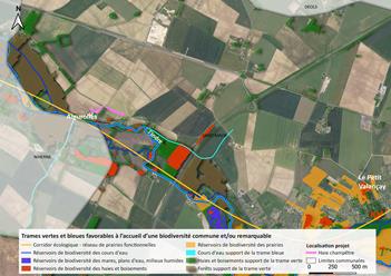 Sixième projet de plantation 2022