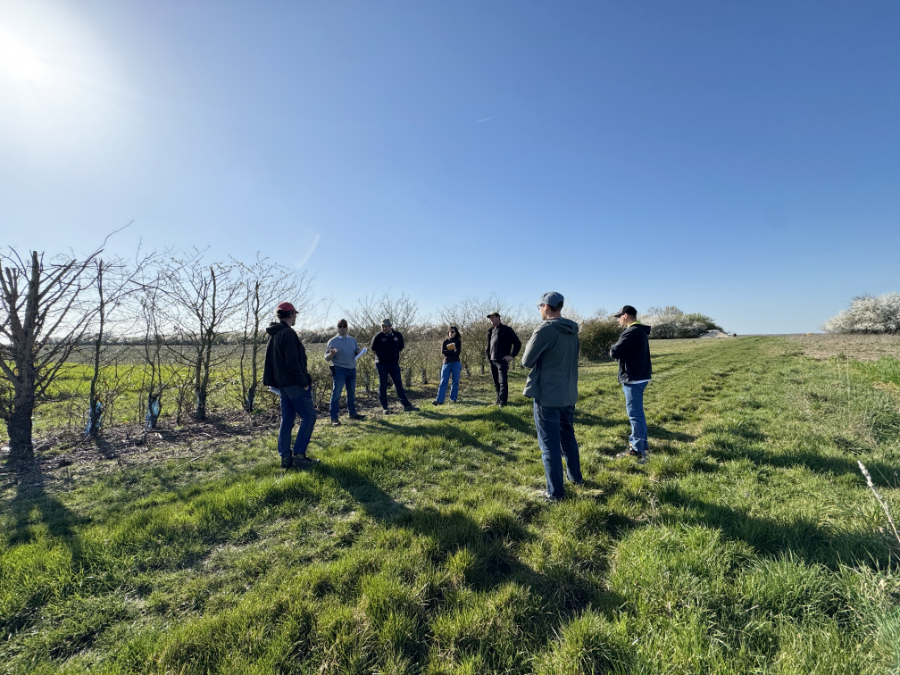 Formation à l'entretien et la valorisation des haies