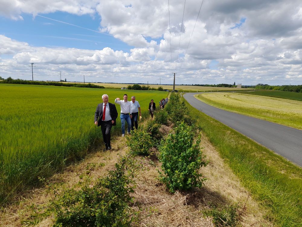 Vue de la plantation en mai 2022