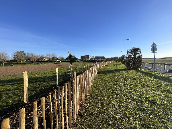 Ganivelle en bois pour protéger les plantations à Montierchaume