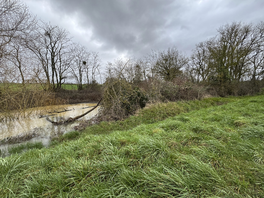 Mare de Saint-Genou en janvier 2026